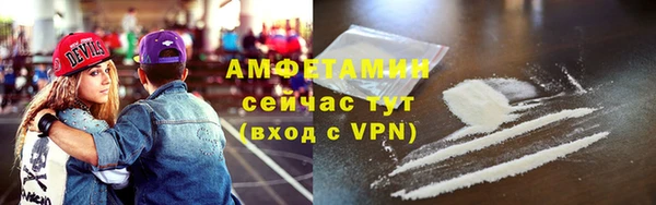соль ск Абаза